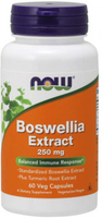 Now® Boswellia Extract (250 mg,  60 Vegetarian Capsules)