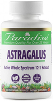 Paradise® Astragalus 12:1 Extract (120 Vegetarian Capsules)