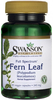 Swanson Premium Full Spectrum Fern Leaf (240 mg,  90 Vegetarian Capsules)