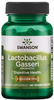 Swanson Probiotic Lactobacillus Gasseri (3 Billion CFU,  60 Vegetarian DR Capsules)