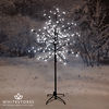 1.8m LED Cherry Blossom Tree with 180 Bright White Lights