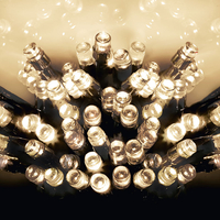 Premier Decorations - 50 Multi Action Battery Operated LED Lights - Warm White