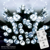 Premier Decorations - 720 Multi Action LED Nite Lights with Light Sensor & Remote - Bright White
