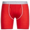 Icebreaker Mens Anatomica Long Boxer With Fly Rocket/Lunar