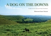 A Dog on the Downs: An Appreciation of a Unique Part of Kent`s North Downs