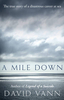 A Mile Down: The True Story of a Disastrous Career at Sea