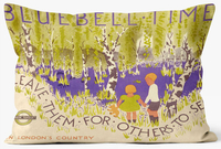 Blue Bell Time Cushion