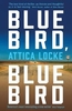 Bluebird,  Bluebird