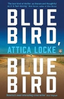 Bluebird,  Bluebird