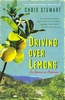 Driving Over Lemons: An Optimist in Andalucia