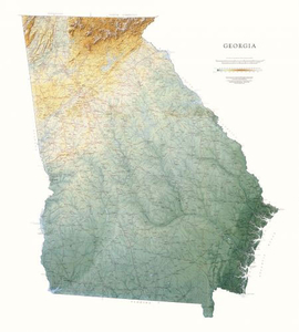 Georgia State Physical Wall Map