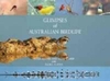 Glimpses of Australian Birdlife