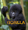 Gorilla - Eye On The Wild