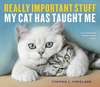 Really Important Stuff My Cat Has Taught Me