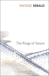 The Rings Of Saturn