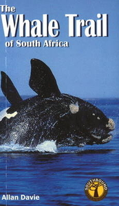 The Whale Trail