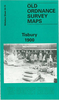 Tisbury 1900