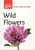 Wild Flowers