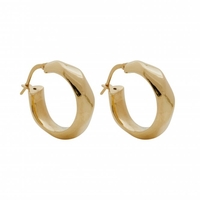 14ct Gold Plated Sterling Silver Geo Hoop Earrings