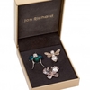 Bug Brooches Pack of 3 - Gift Boxed