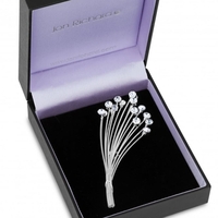 Crystal Multi Spray Brooch