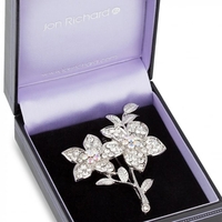 Double Crystal Flower Sprig Brooch