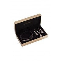 Jon Richard Gift Boxed Gold Plated And Crystal Set