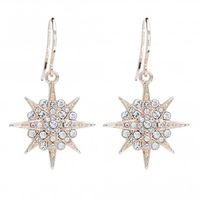 Jon Richard Radiance Collection Rose Gold Plated Star Earrings