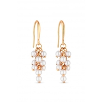Mood Gold Plated Cluster Pearl Drop Earrings