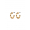 Mood Gold Plated Pearl Hoop Earrings