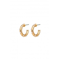 Mood Gold Plated Pearl Hoop Earrings