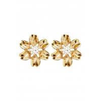 Mood Gold Polished Flower Stud Earrings