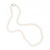 Pearl Necklace Oval Clasp