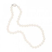 Pearl Necklace Oval Clasp