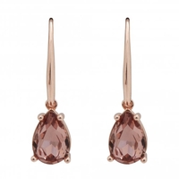 Rose Gold Plated Open Stone Earrings