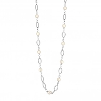 Silver Plated 41
