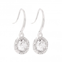Silver Plated Crystal Halo Fish Hook Drop Earrings