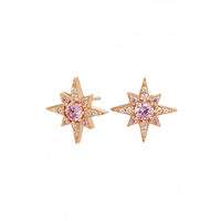 Simply Silver Sterling Silver 925 Rose Gold and Pink Star Earrings