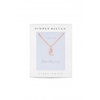 Simply Silver Sterling Silver Mini Crescent Pendant Necklace - Gift Boxed