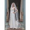 Spellbinder Lace Trim Floor Length Veil