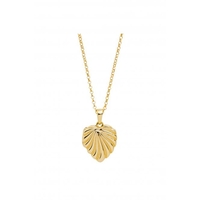 Sterling Silver Gold Heart Shell Locket Necklace