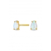 Sterling Silver Gold Opal Stud Earrings
