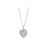 Sterling Silver Heart Shell Locket Necklace