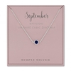 Sterling Silver Sapphire Blue Coloured Cubic Zirconia September Birthstone Necklace On A Gift Card
