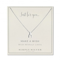 Sterling Silver Wishbone Necklace On "Just For You" Gift Card