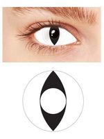 Eye Like It Fantasy Color Eye Accessories(044)