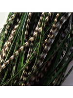Feather Hair Extensions - Green Olive