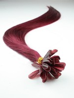 I&k Pre-bonded Hair Extensions (burg) Length(inch)-22
