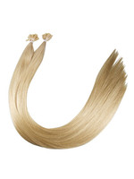 Vl Remy Pre-bonded Flat Tip pv01 Light Ash Blonde Mix Length(inch)-22