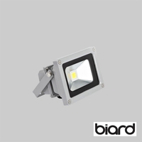10W Biard LED Floodlight Equivalent To 100W 90% Energy Saving